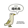 紐約鳥｜New York Aperture